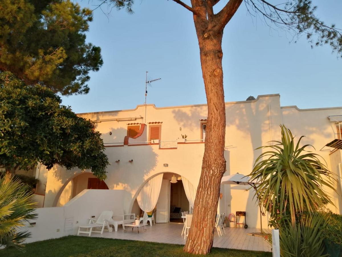 Villa A Diamante Sulla Spiaggia Belvedere Marittimo Ngoại thất bức ảnh